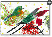 長谷川智己くん 9才