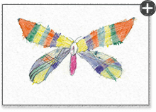 高野朔人くん 8才